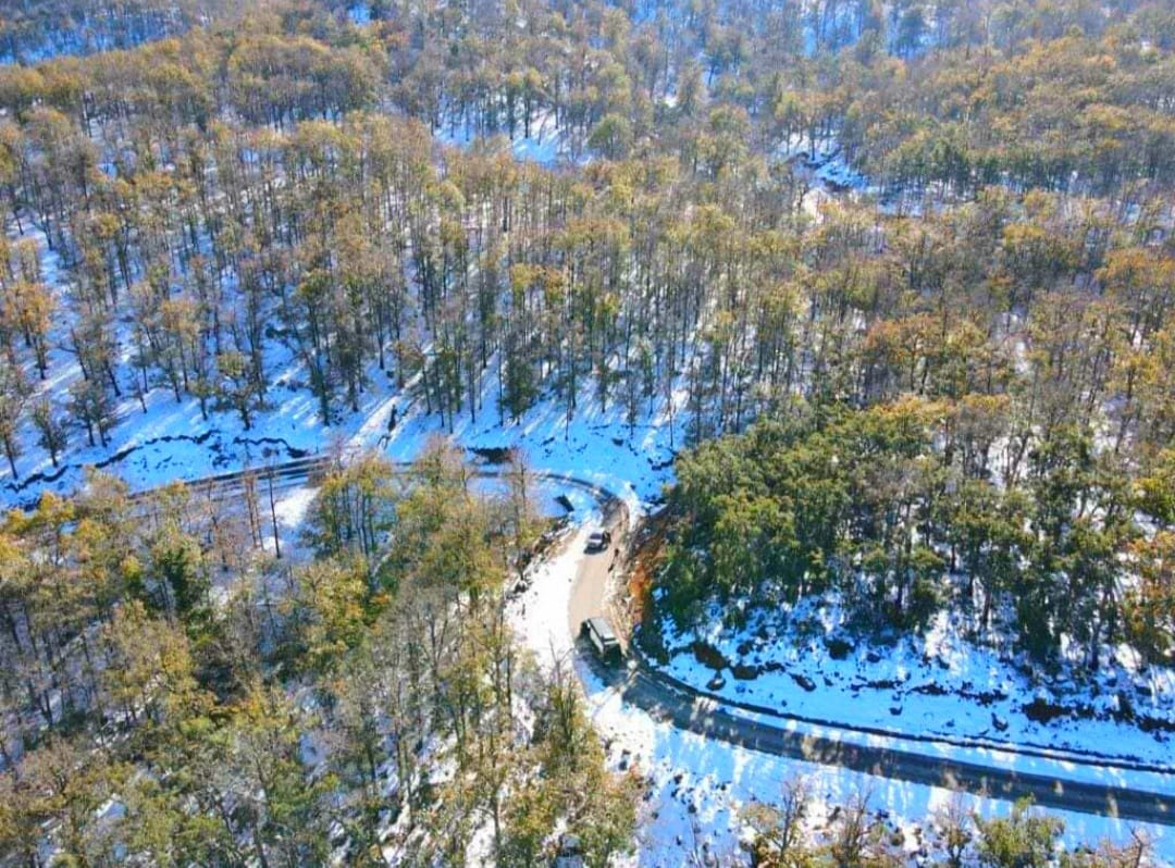 الصورة من الطريق الإقليمية رقم 4704 وهي تخترق غابة بوهاشم