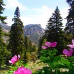 الصور لجبل تالاسمطان جماعة تلمبوط إقليم الشاون جهة طنجة تطوان الحسيمة