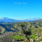 الصورة من قبيلة بني أحمد قرية القوب بمركز المنصورة