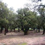 الصور من جبل الحبيب إقليم تطوان شمال المغرب